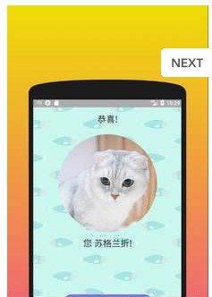 你是什么样的猫