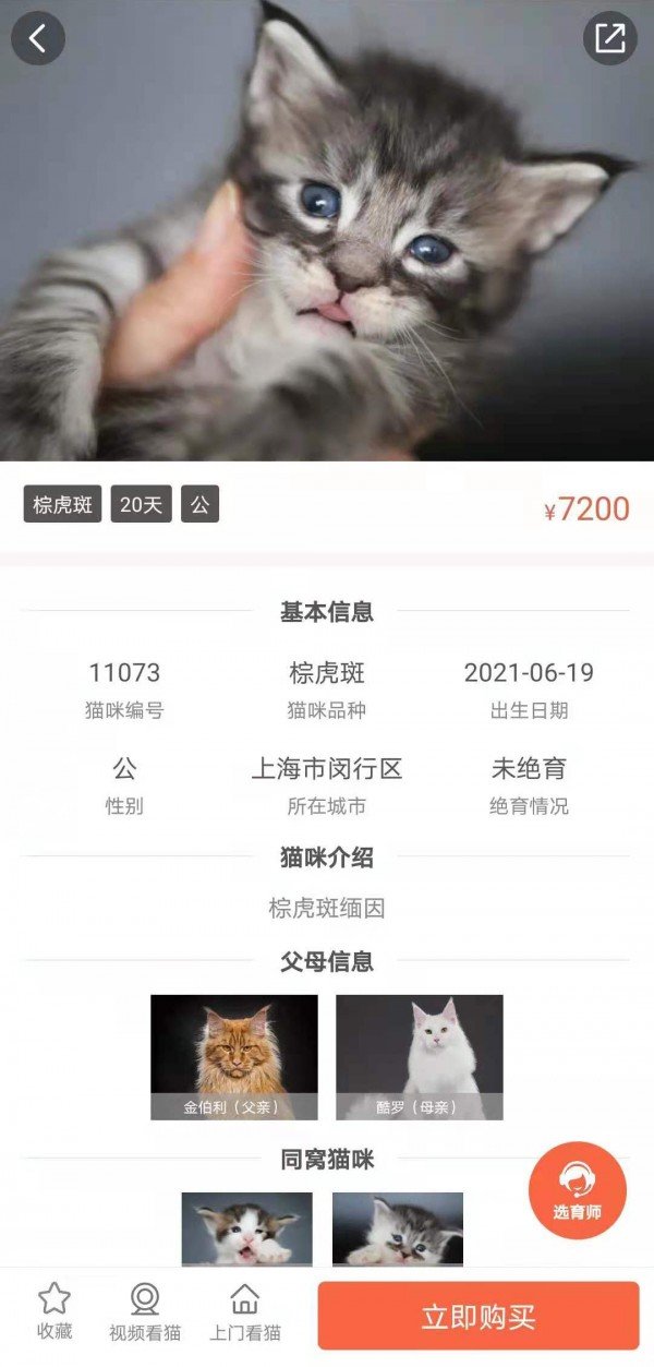 家连猫舍去广告版截图3