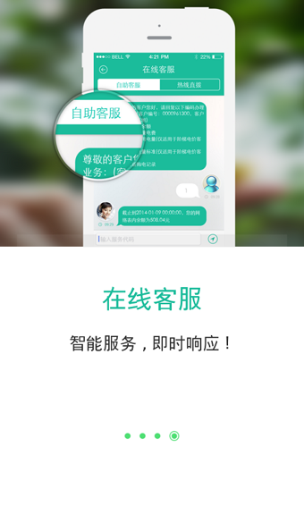 掌上电力网页版截图4