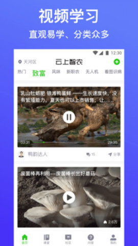 云上智农无限制版截图2