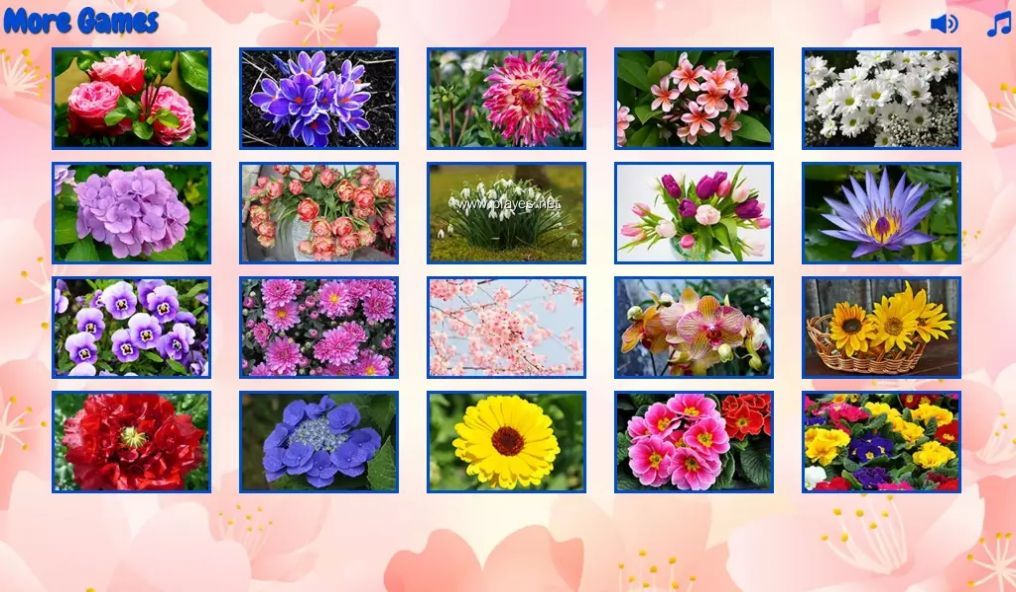 拼图的花朵(Big puzzles flowers)网页版截图2