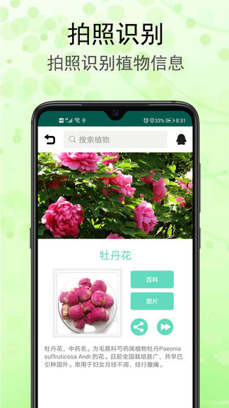 识花草官方版截图1