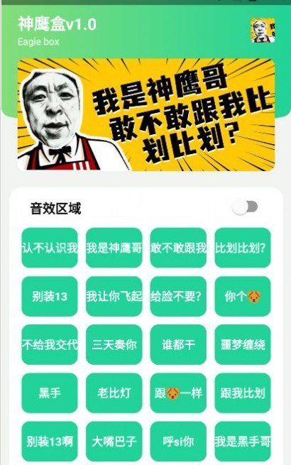 神鹰盒精简版截图2