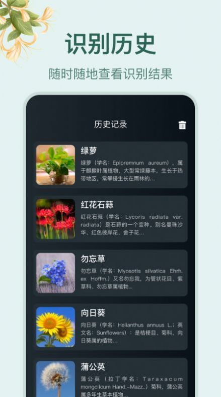 花草百科识别免费版截图3