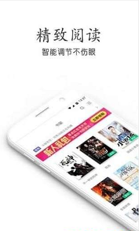 辣条小说网页版截图1