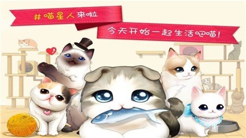 猫猫咖啡屋九游版截图4