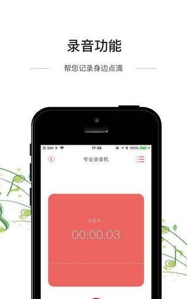 专业录音机网页版截图1