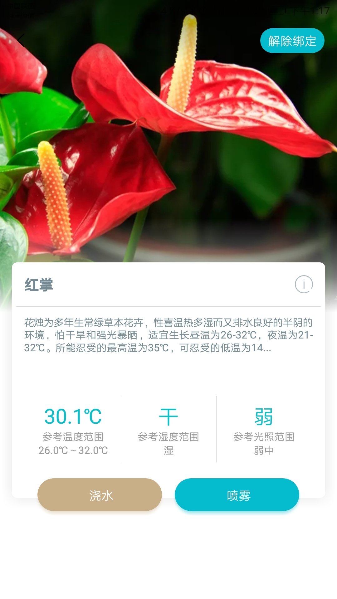 花一派官方版截图3