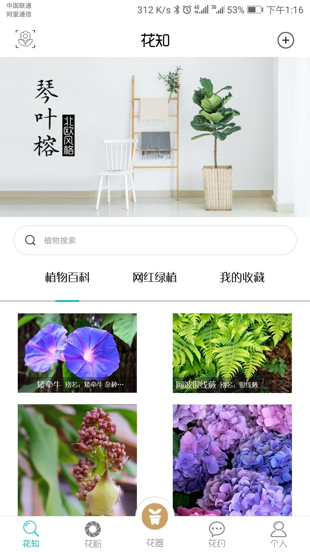 花一派官方版截图4