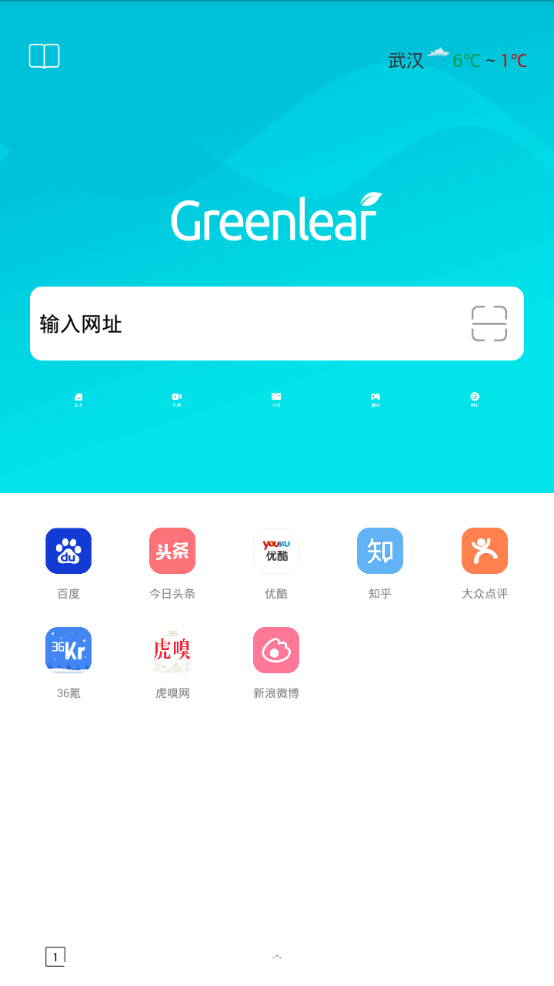 绿叶浏览器免费版截图2