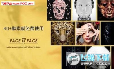 face2face软件安卓版截图3