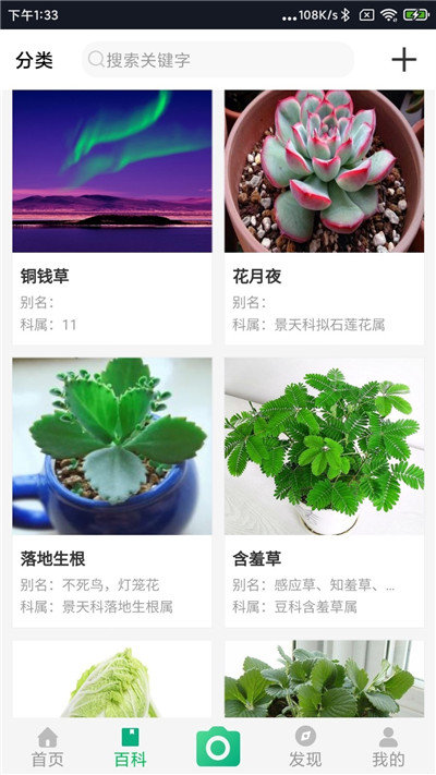 御花园汉化版截图2