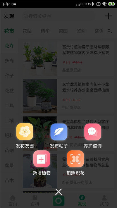 御花园汉化版截图1