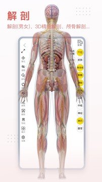 3Dbody解剖去广告版截图2