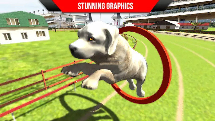 狗狗训练3D(Dog Training: Dog Games 3D)正式版截图2