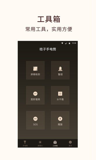 桔子手电筒网页版截图3