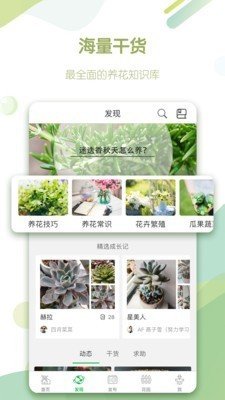 绿手指汉化版截图3