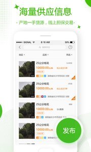 苗木通汉化版截图1