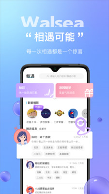 walsea官方版截图3