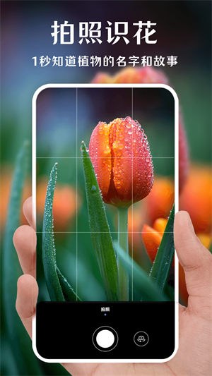 一键拍照识花汉化版截图1