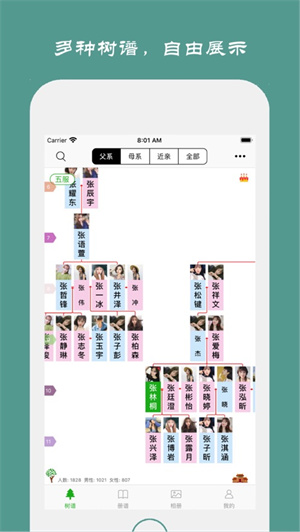 族记家谱免费版截图5