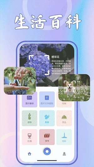 识花君植物识别官方版截图2