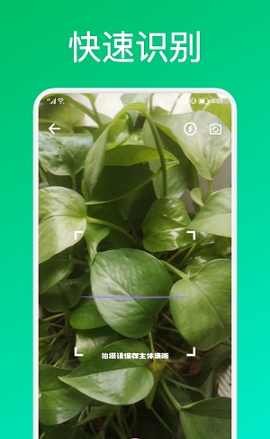 识花君植物识别官方版截图1