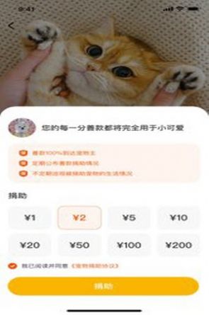 财猫双犬完整版截图4