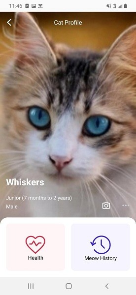 meowtalk1.4安卓版截图2