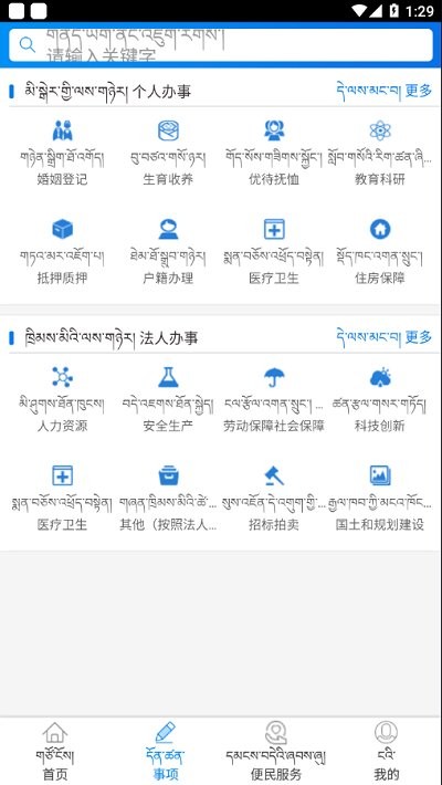 拉萨政务服务正式版截图4