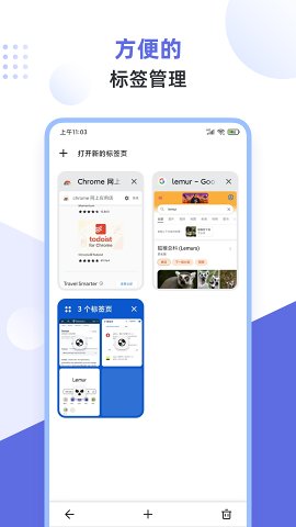 lemur狐猴浏览器网页版截图5