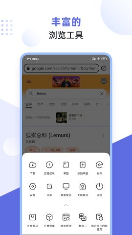 lemur狐猴浏览器网页版截图4