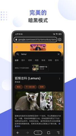 lemur狐猴浏览器网页版截图3