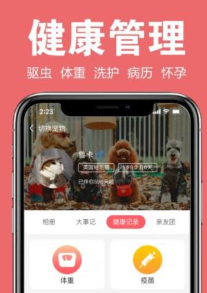 宠可爱破解版截图1