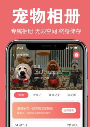 宠可爱破解版截图2