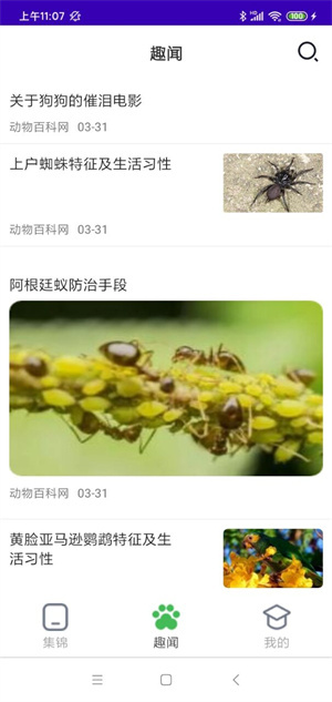 精彩动物世界无限制版截图3