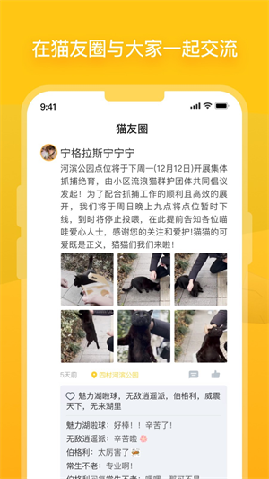 哈啰街猫安卓版截图1