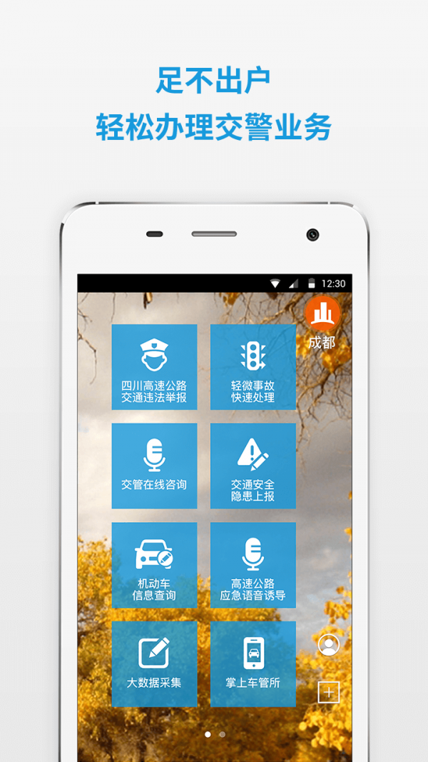 四川公安交警公共服务平台免费版截图4