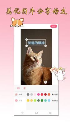 猫语狗语翻译器精简版截图1