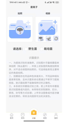 菌窝子精简版截图3