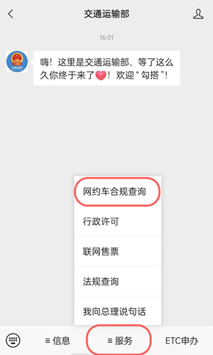 网约车合规查询系统精简版截图2