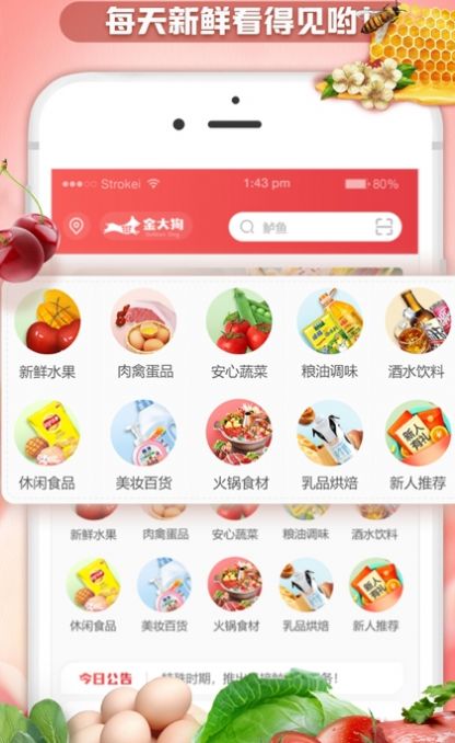 金大狗到家精简版截图3