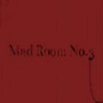 Mad Room No.3汉化版