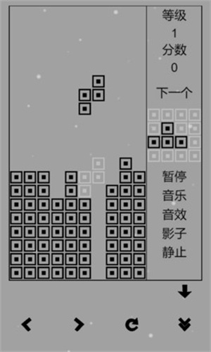 经典俄罗斯方块黑白版截图3