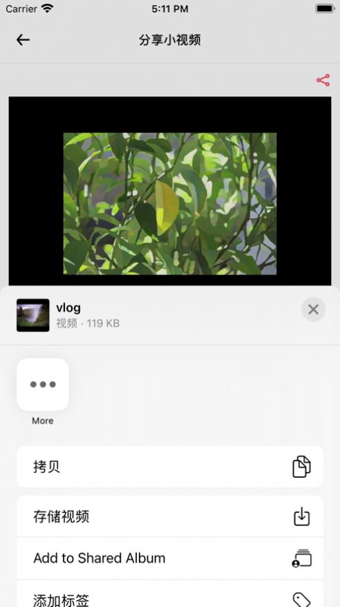 素漫日记ios破解版截图2