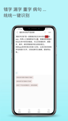 错别字识别汉化版截图4