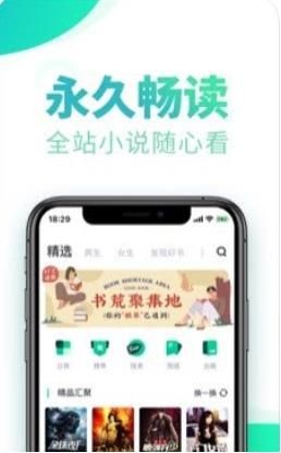 桃花小说app手机阅读汉化版截图2