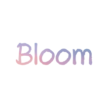 bloom破解版