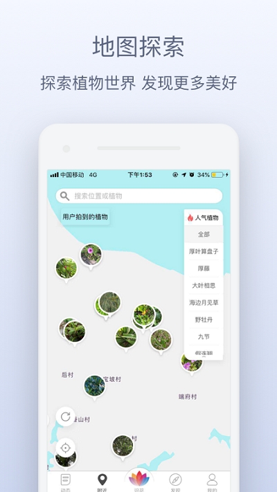 草伴侣汉化版截图2