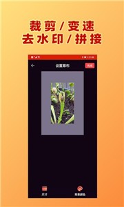 HC视频加文字破解版截图3